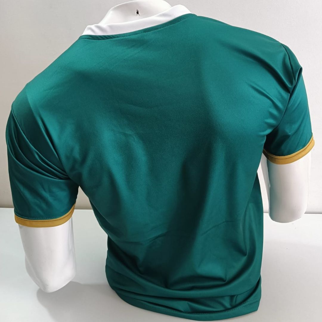 CAMISETA CHAPECOENSE 2026 (HOMENAJE AL NACIONAL)